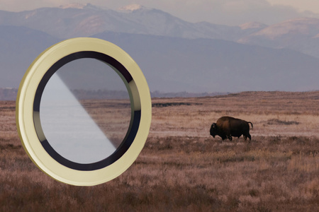 Szkło na aparat z aplikatorem Bizon Glass Snap Lens do iPhone 14 Pro/14 Pro Max, 1 zestaw, złota ramka