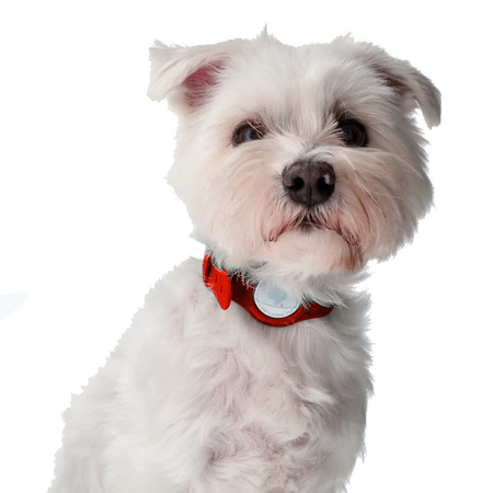 Etui Bizon Case Locator Pets do Apple AirTag, czerwone