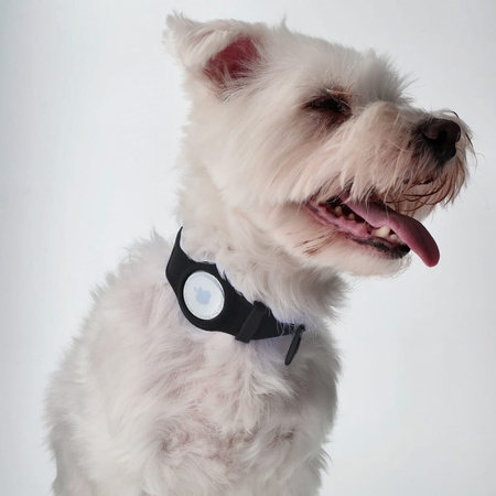 Etui Bizon Case Locator Pets do Apple AirTag, czarne