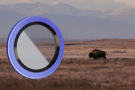 Szkło na aparat Bizon Glass Lens do Galaxy A26 5G, 2 sztuki