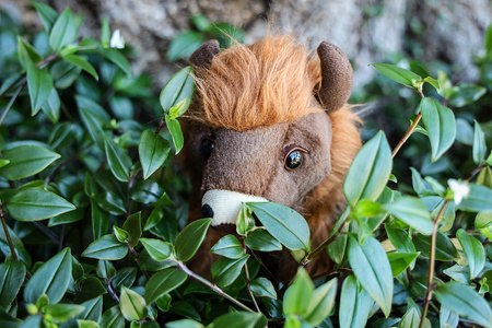Pluszowa maskotka Bizon, brązowa