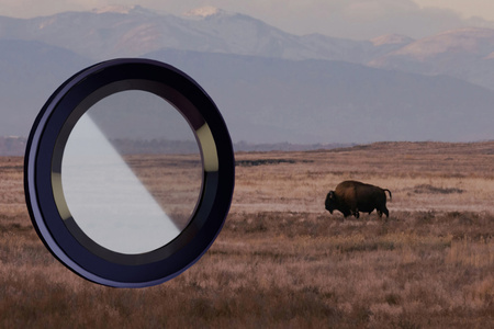 Szkło na aparat z aplikatorem Bizon Glass Snap Lens do iPhone 14/14 Plus, 1 zestaw, czarna ramka