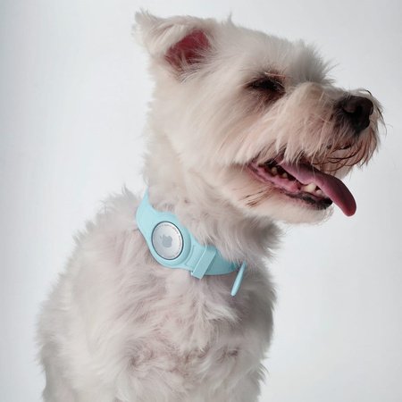 Etui Bizon Case Locator Pets do Apple AirTag, turkusowe