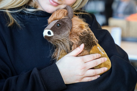 Pluszowa maskotka Bizon, brązowa