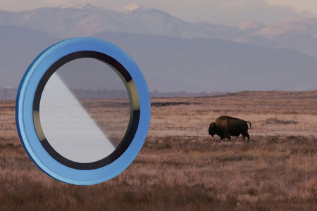 Szkło na aparat Bizon Glass Lens do Galaxy A26 5G, 2 sztuki