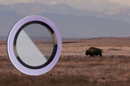 Szkło na aparat Bizon Glass Lens do Galaxy A26 5G, 2 sztuki