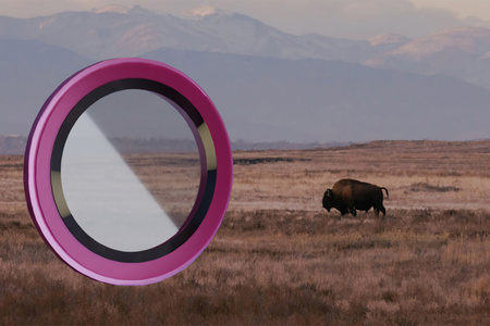 Szkło na aparat Bizon Glass Lens do Galaxy A26 5G, 2 sztuki