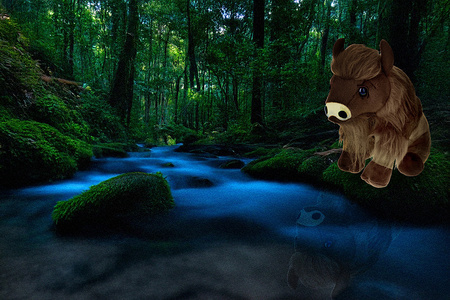 2x Szkło hartowane z ramką + szybka na aparat Bizon Edge 2 Pack do Xiaomi Redmi 14C 4G