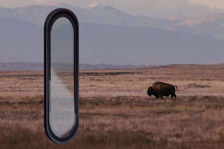 Szkło na aparat Bizon Glass Lens do Galaxy A26 5G, 2 sztuki